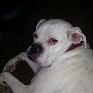 Meet your Posher, Leslie